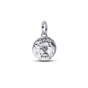 Hovedbilde Skull medallion charm - silver