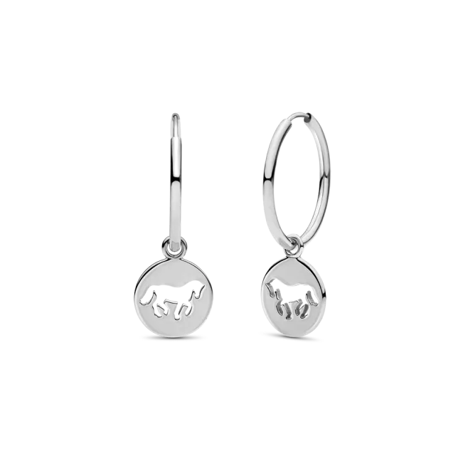 Hovedbilde Cassidy Hoop silver