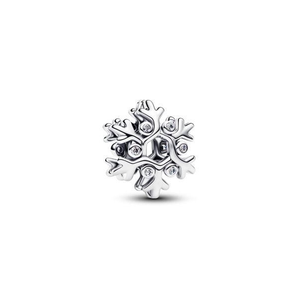 Snowflake charm 